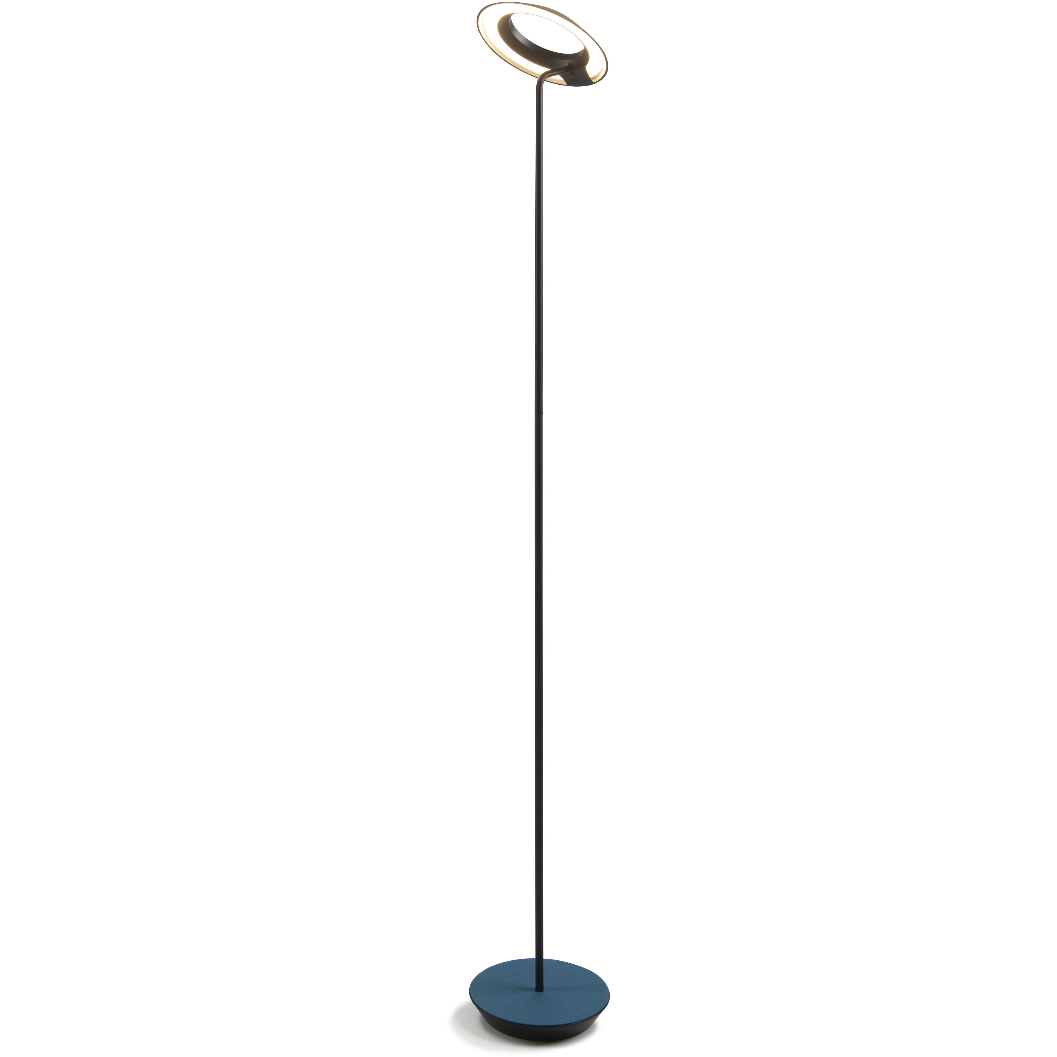 Royyo 45.5 inch 11.00 watt Matte Black with Azure Felt Floor Lamp Portable Light